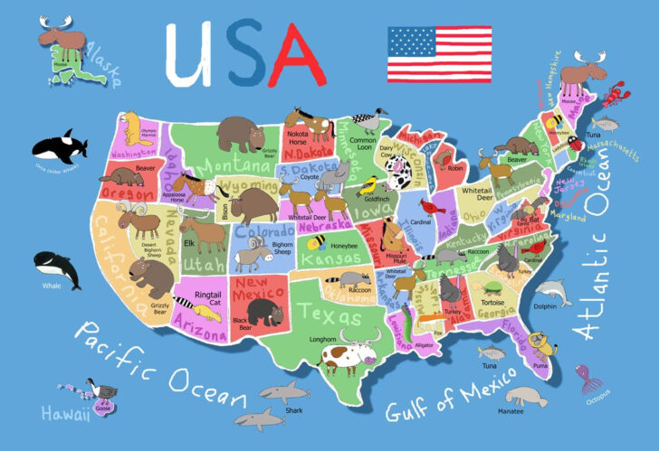 Printable Map of the United States For Kids