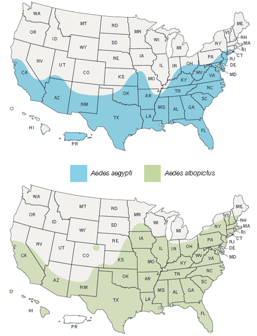 Data And Surveillance for Map Of Dengue Fever In Usa