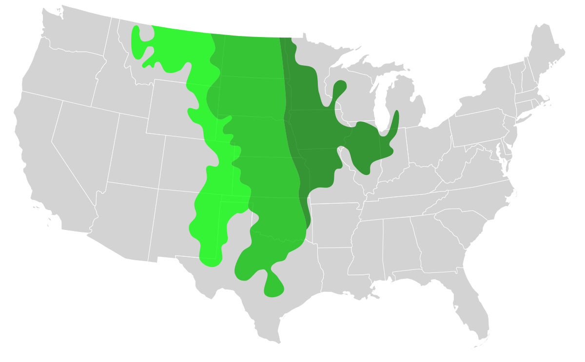 Datei:us Great Plains Map.svg – Wikipedia throughout Great Plains On Map of USA