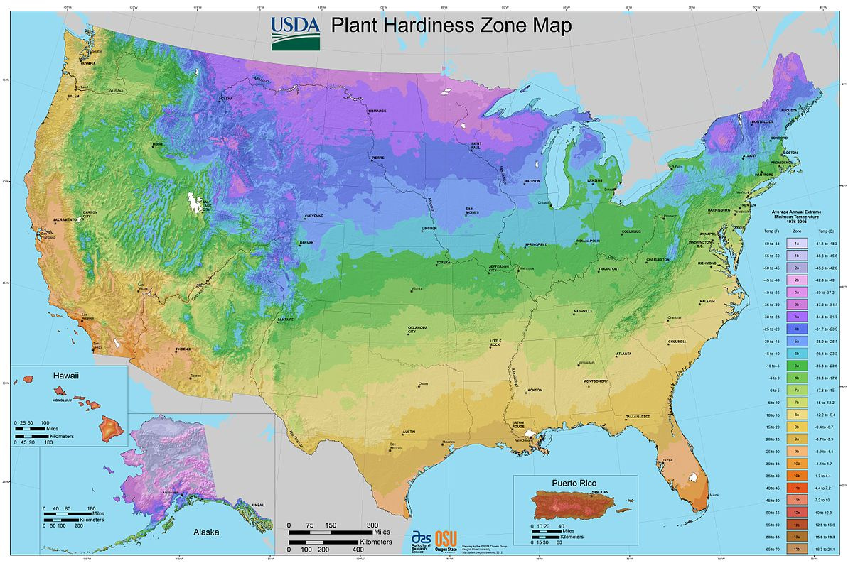 File:2012 Usda Plant Hardiness Zone Map (Usa) - Wikimedia Commons throughout Map Of Growing Zones In Usa