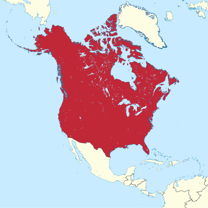 Where Is Canada On the Map of USA