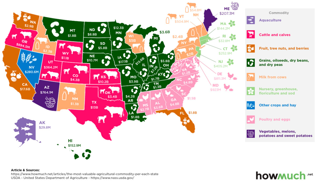 Infographic: The Most Valuable Agricultural Commodity In Each State with regard to Images Of A Usa Commodity Map