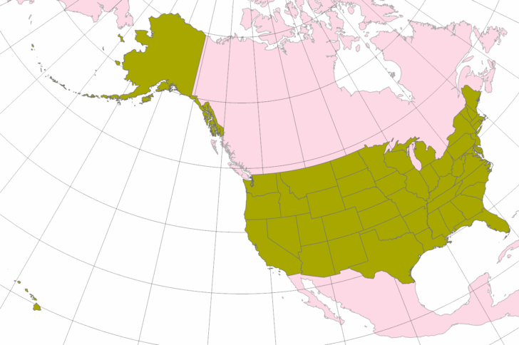 Map of USA with Alaska To Scale