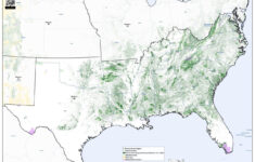 Mature & Old-Growth Forest Maps – Wildearth Guardians with regard to Map Of Old Growth Forests In Usa
