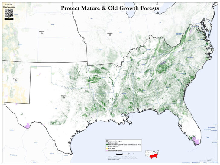 Map of Old Growth Forests In USA
