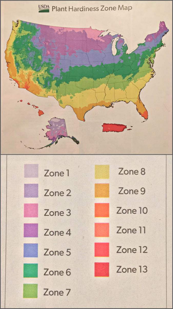 Plant Hardiness Zones Across The United States throughout Map Of Plant Zones In Usa