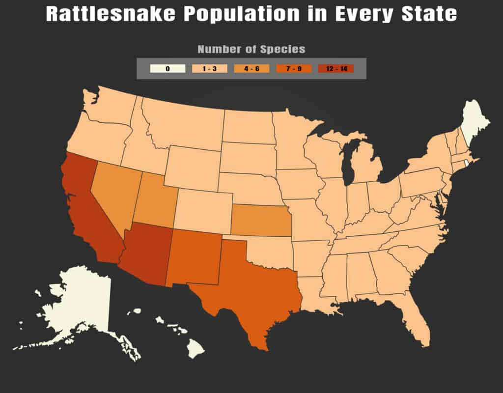 Rattlesnake Populationstate - A-Z Animals throughout Map Of Where Rattlesnakes Live In Usa