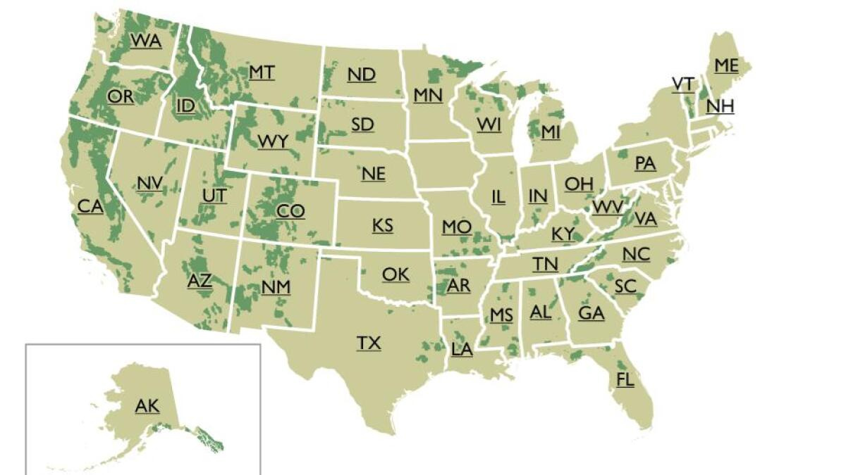 Researchers Make A Map Of All Old-Growth Forest In Lower 48 intended for Map of Old Growth Forests In USA