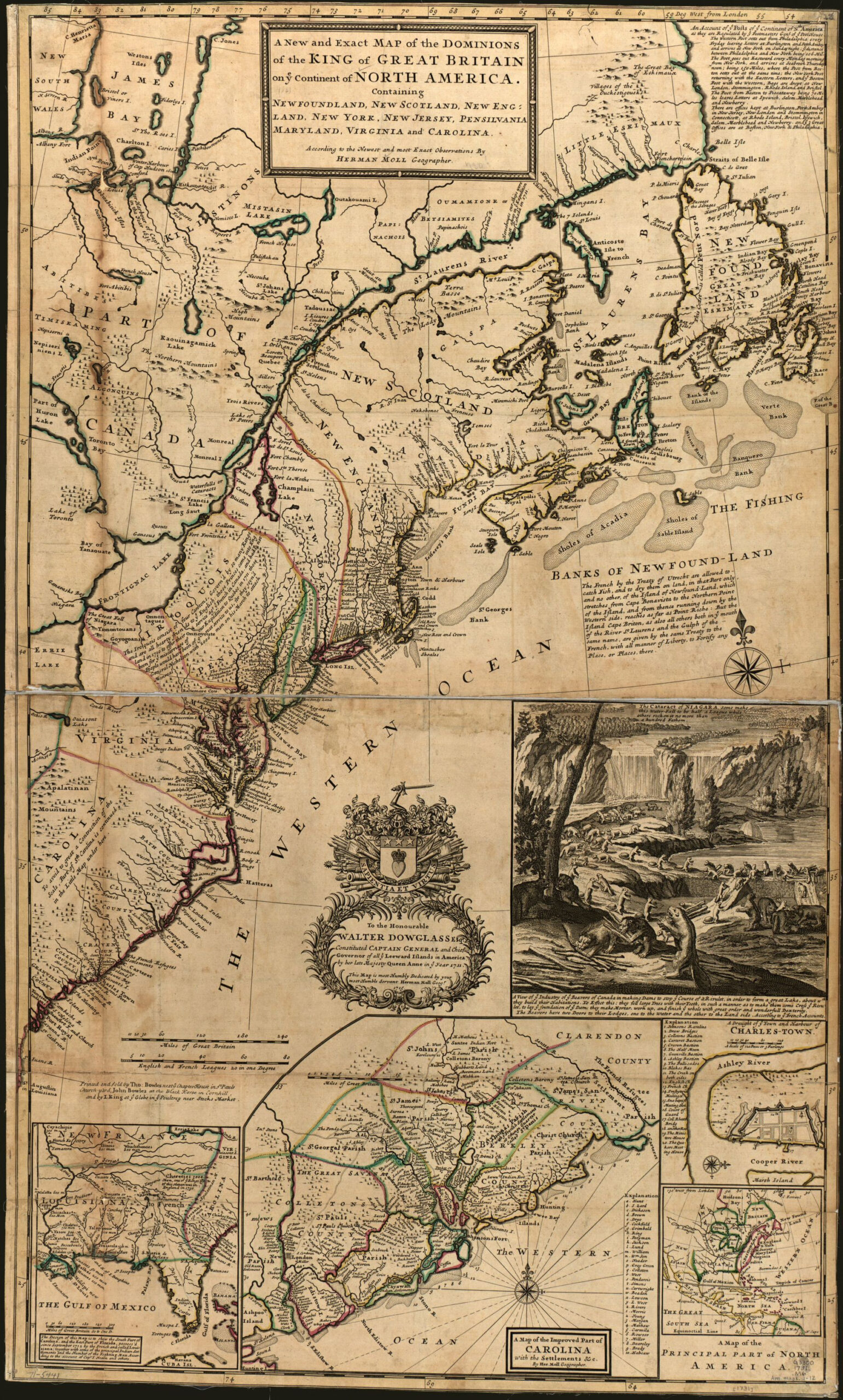 The Exotic Animals Of The Americas | Worlds Revealed intended for An Exotic Map of the USA