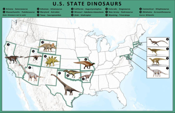 Map of Dinosaur Fossils In USA Map of Dinosaur Fossils In USA