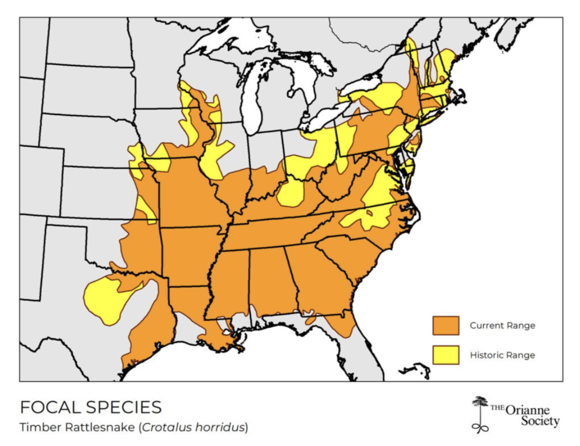Understanding And Celebrating The Timber Rattlesnake | Trgt with Map of Where Rattlesnakes Live In USA
