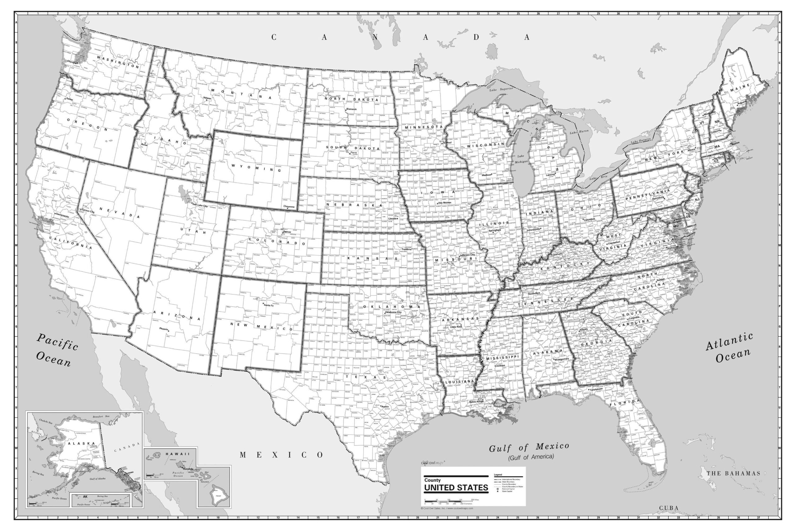 Usa County Wall Map Black &amp;amp; White Poster - Rolled Paper Or Laminated with Black and White Map of USA with Cities
