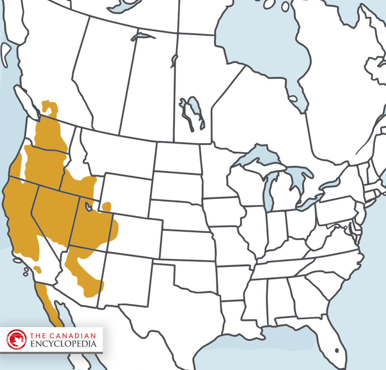Western Rattlesnake | The Canadian Encyclopedia with regard to Map Of Where Rattlesnakes Live In Usa
