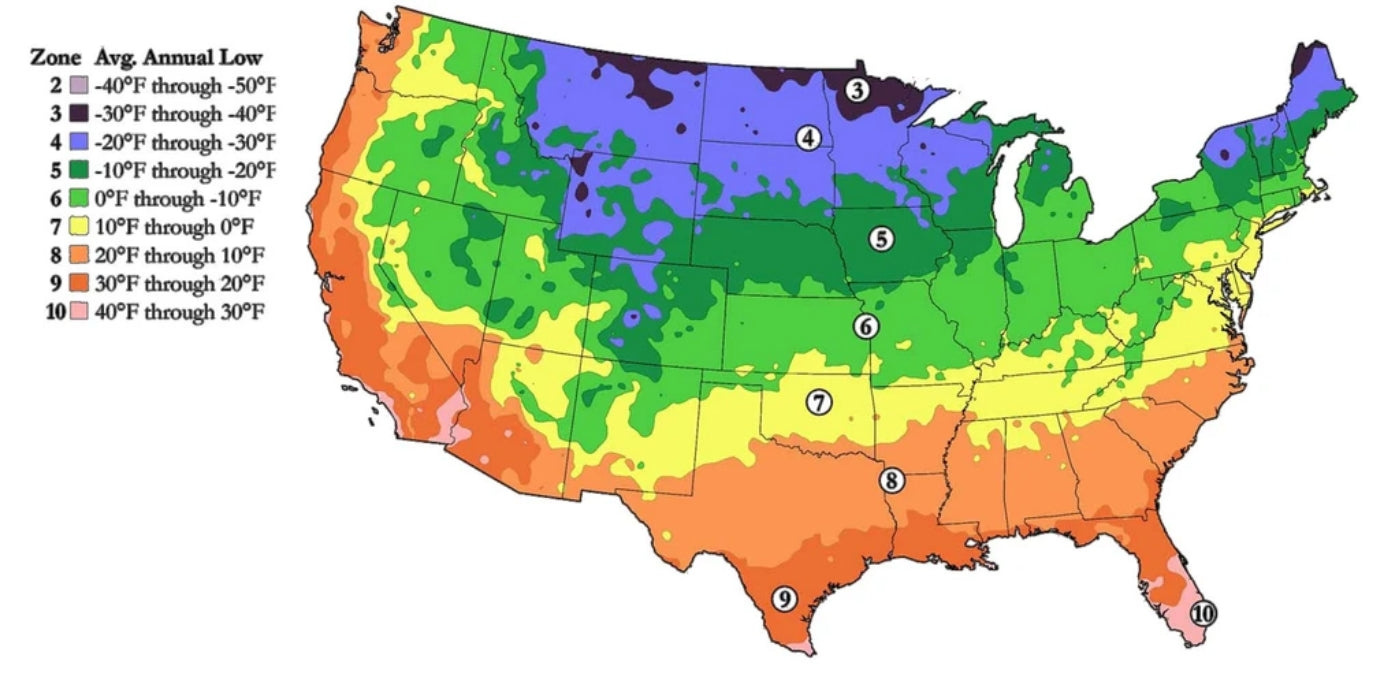 What Is My Hardiness Growing Zone? - Look Up My Growing Zone within Zone Map Of Usa For Planting